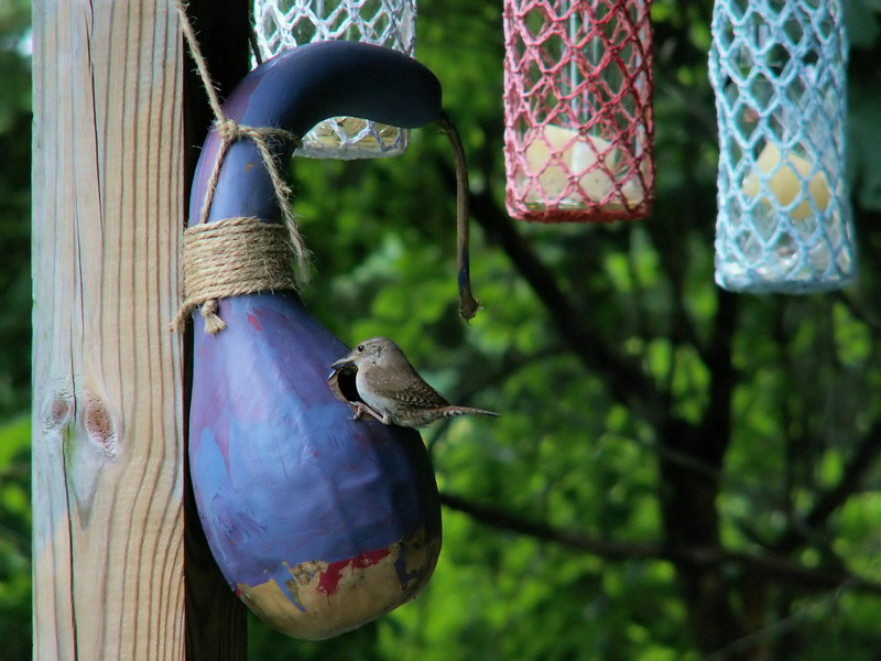 Declutter Your Green Space with Expert Help